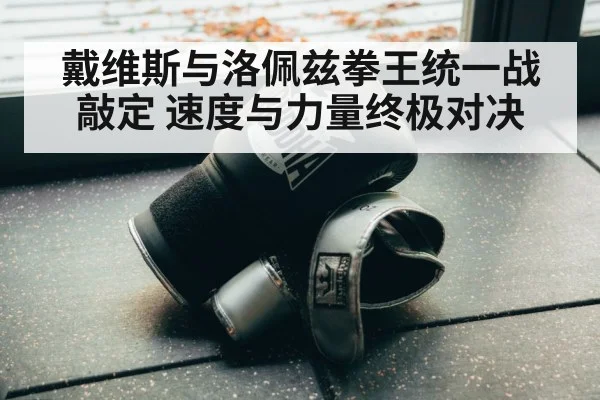 戴维斯与洛佩兹拳王统一战敲定 速度与力量终极对决